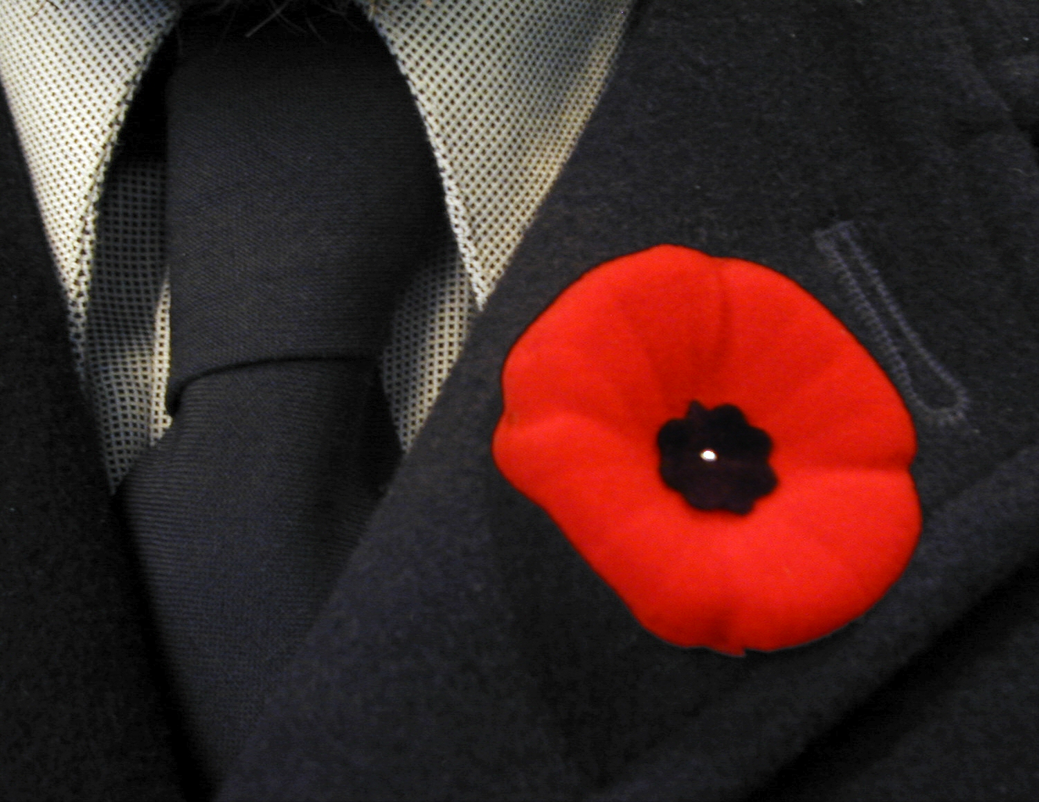 Poppy on lapel